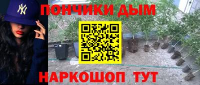 спиды Можга