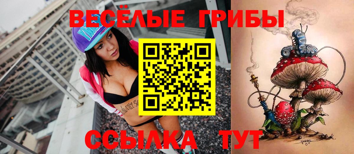 Галлюциногенные грибы Psilocybine cubensis  Вход с VPN  Тимашёвск 