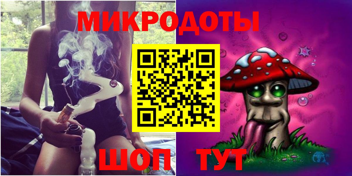 Псилоцибиновые грибы Cubensis Тимашёвск